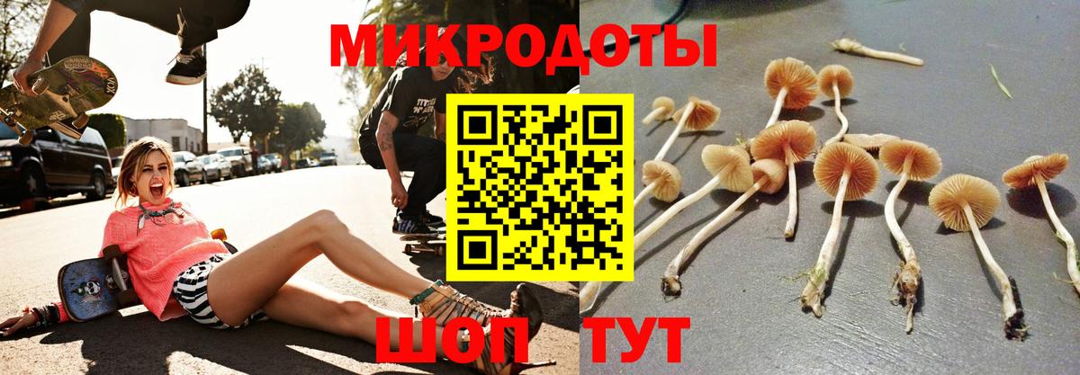 Ливны  Галлюциногенные грибы мухоморы  Вход с VPN 